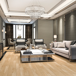 Residential Properties in Delhi